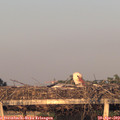 20_05-mast.jpg