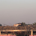 20_15-mast.jpg