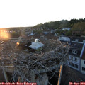 20_20-nest.jpg