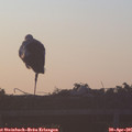 06_15-mast.jpg