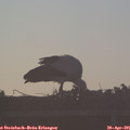 06_35-mast.jpg