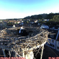 06_40-nest.jpg