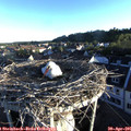 06_45-nest.jpg