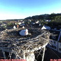 06_55-nest.jpg