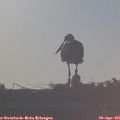 07_25-mast.jpg