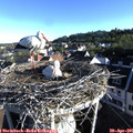 07_25-nest.jpg