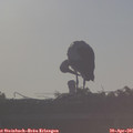 07_30-mast.jpg