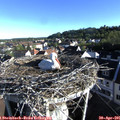 07_35-nest.jpg