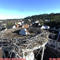 07_40-nest.jpg