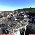 07_45-nest.jpg