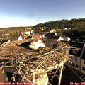 07_55-nest.jpg