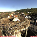08_35-nest.jpg
