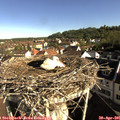 08_40-nest.jpg