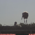 08_55-mast.jpg