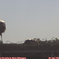 09_00-mast.jpg