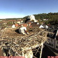 09_00-nest.jpg