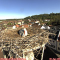 09_10-nest.jpg