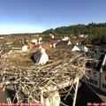 09_15-nest.jpg