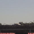 09_20-mast.jpg