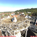 09_20-nest.jpg