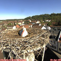 09_40-nest.jpg