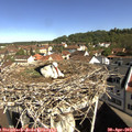 10_00-nest.jpg