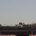 10_10-mast.jpg