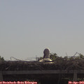 10_20-mast.jpg