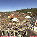 11_35-nest.jpg