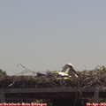 12_00-mast.jpg