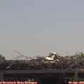 12_05-mast.jpg