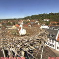 12_10-nest.jpg