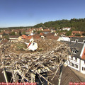 12_20-nest.jpg