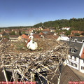 12_25-nest.jpg