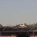 12_30-mast.jpg