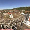 12_30-nest.jpg
