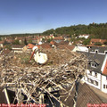 12_35-nest.jpg