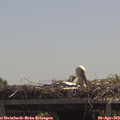 12_40-mast.jpg