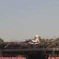 12_45-mast.jpg