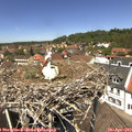 12_55-nest.jpg