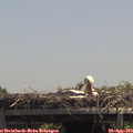 13_20-mast.jpg