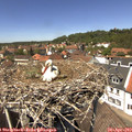 13_25-nest.jpg