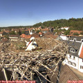 13_30-nest.jpg