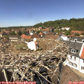 13_35-nest.jpg