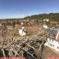13_45-nest.jpg