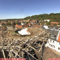 13_55-nest.jpg