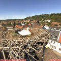 14_00-nest.jpg