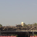 14_05-mast.jpg