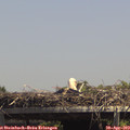14_10-mast.jpg