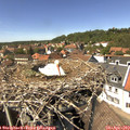 14_20-nest.jpg